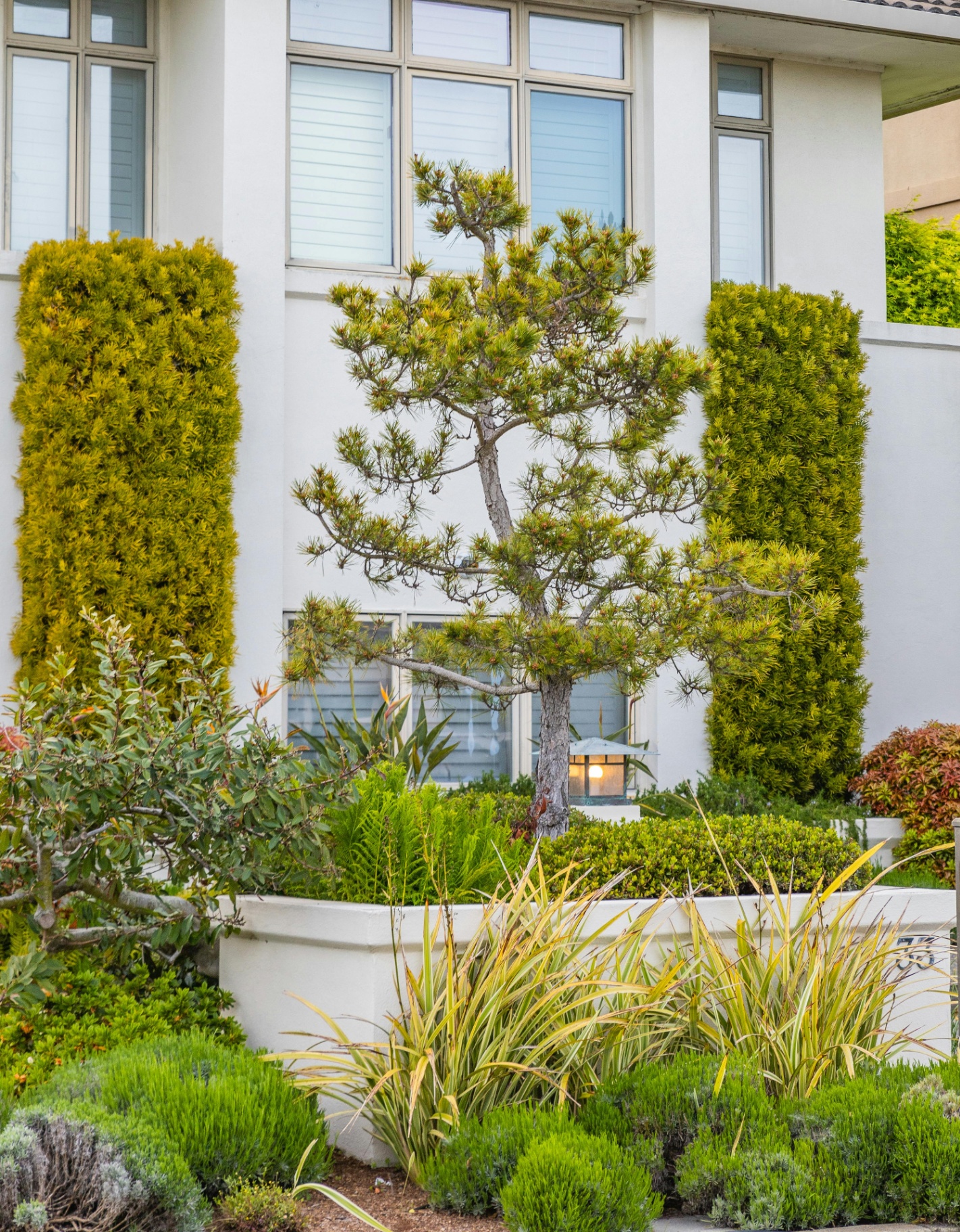 Sculpted shrubs and layered plantings by Walnut Landscaping in Guelph